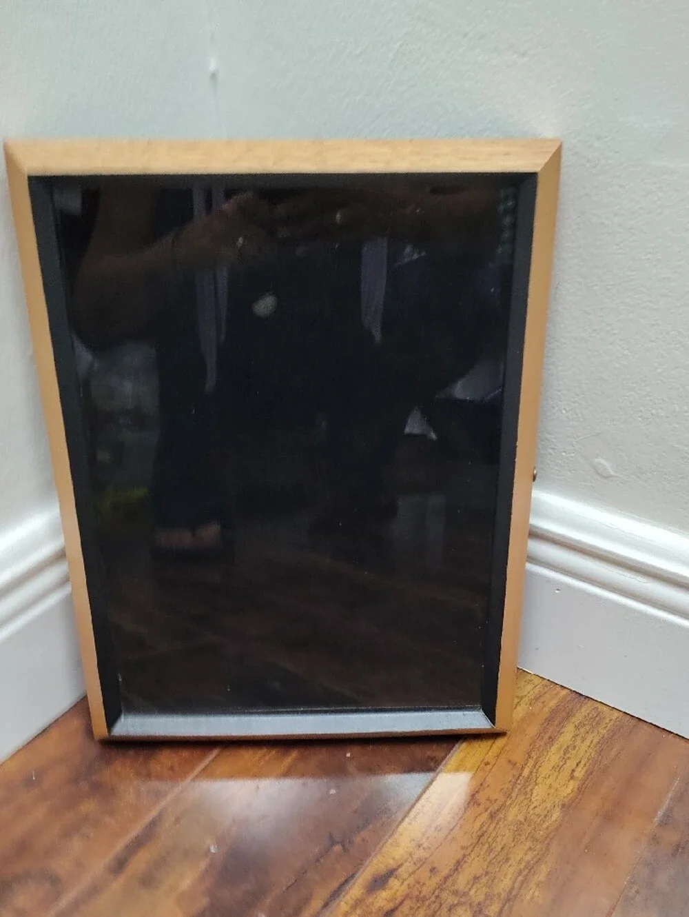 Wood Display Case with Velvet Interior, Jewelry Case  Shadow Box 10.5
